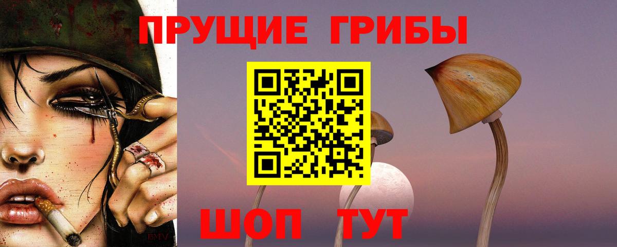 Псилоцибиновые грибы Psilocybine cubensis Армавир