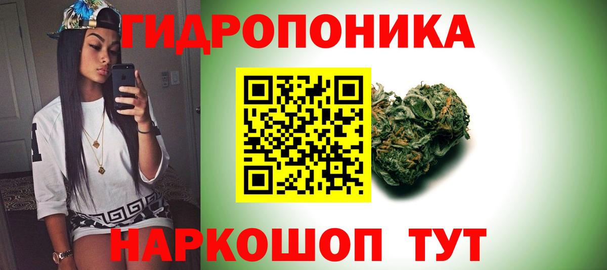 Армавир  Бошки Шишки конопля  Каннабис индика  Бошки Шишки планчик  Вход с VPN  Бошки Шишки тримм 